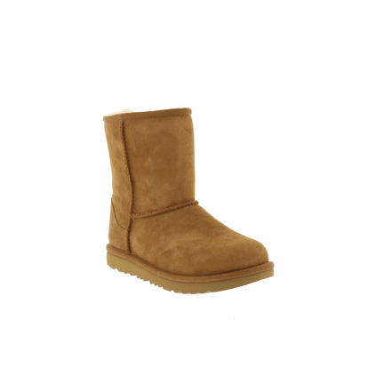 Ugg boots brown