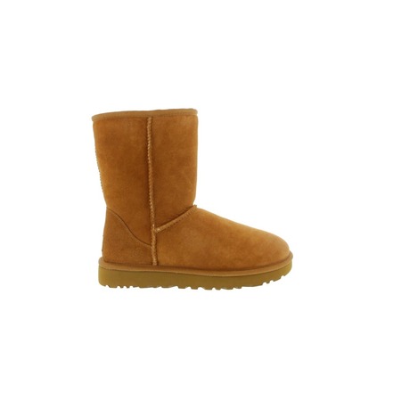 Ugg ankle boots brown