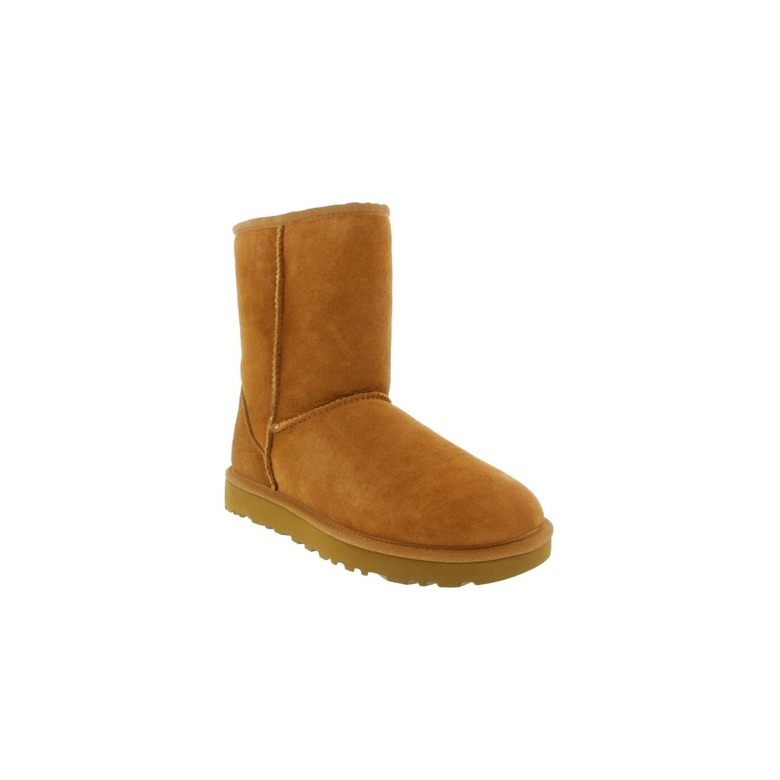 Ugg ankle boots brown 2