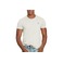 Ralph Lauren t-shirts grey 2