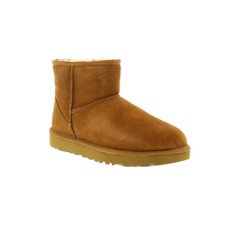 Ugg ankle boots brown