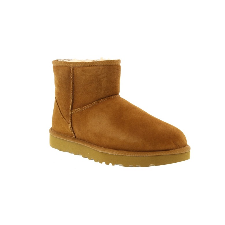 Ugg ankle boots brown 2