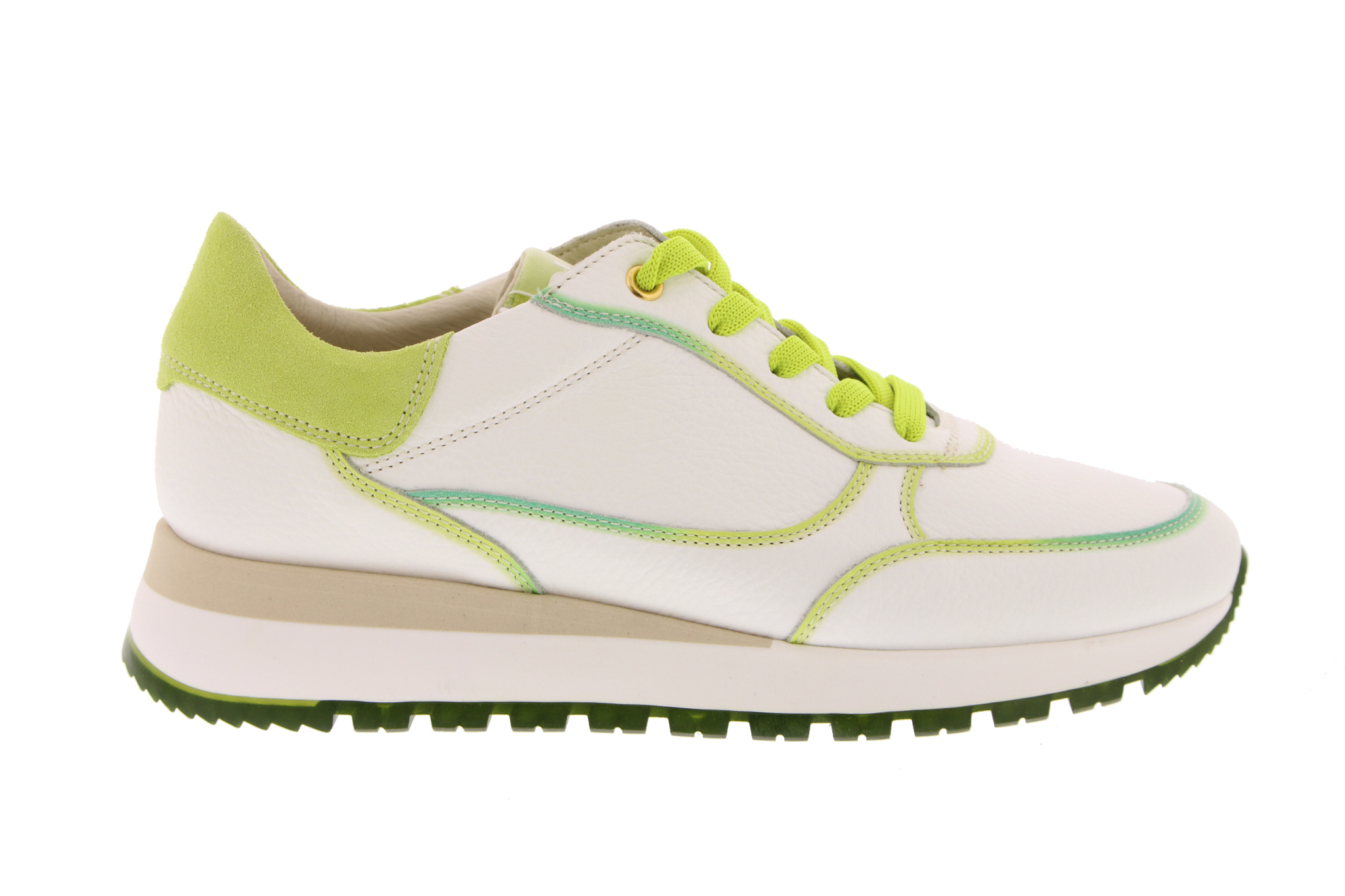 Sneakers | Sport | Green 5645 | Free delivery | shoes and fashion