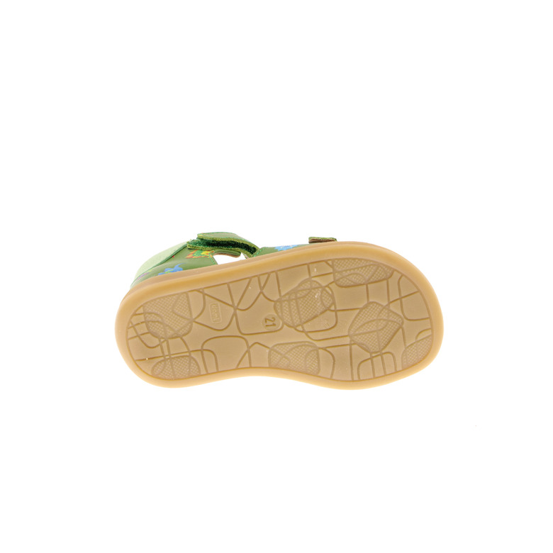 Zecchino D'oro sandalen grÜn 5