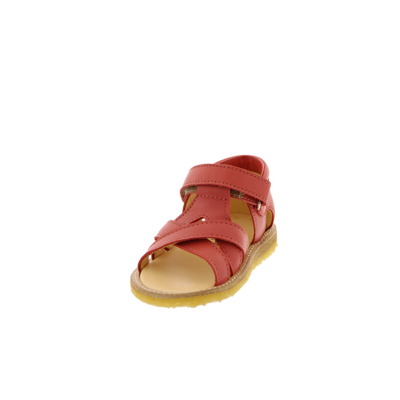 Angulus sandalen koraal 3