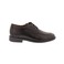 Solidus chaussures basses noir 1