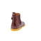 Angulus boots bordeaux 4