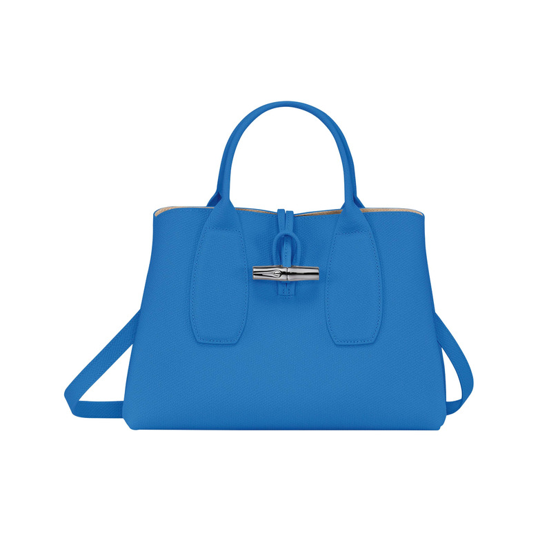 Longchamp handbag blue