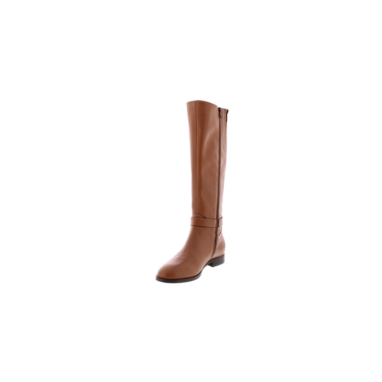 Elisir bottes cognac 3
