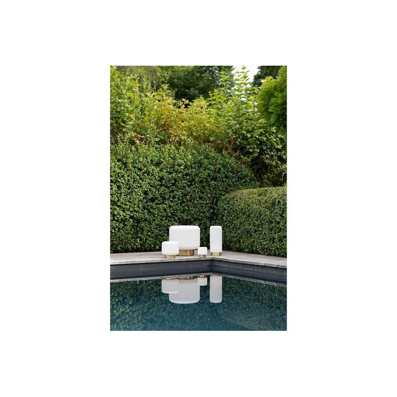 Vanhalst various white 2