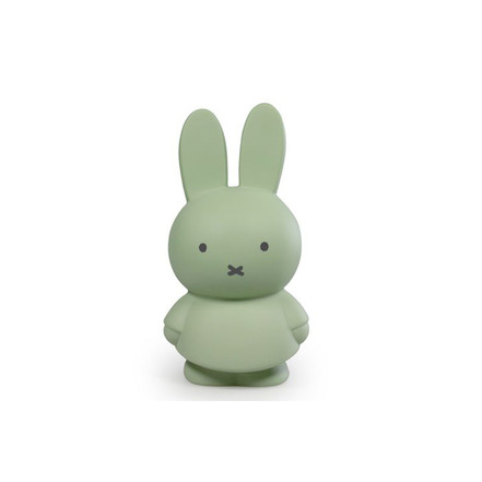 Vanhalst kids room green