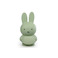 Vanhalst kids room green 1