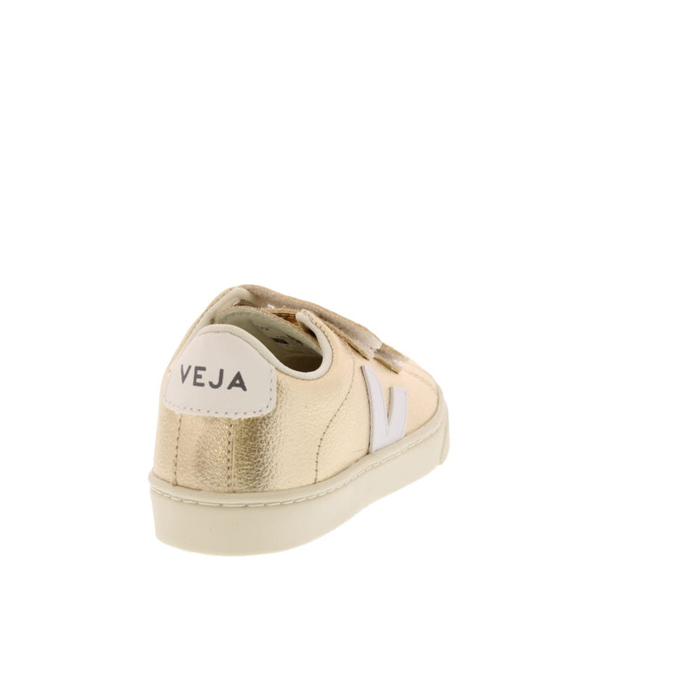 Veja sneakers or 4