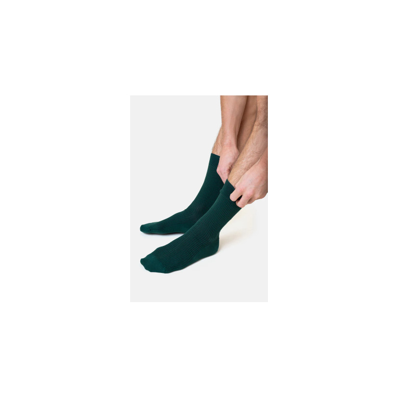 Colorful Standard socks green 2
