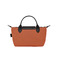 Longchamp handbag orange 2