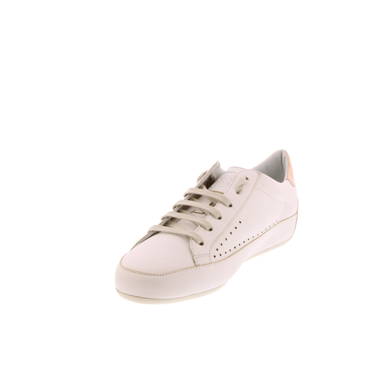 Candice Cooper sneakers ecru 3