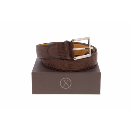 Ambiorix ceinture brun