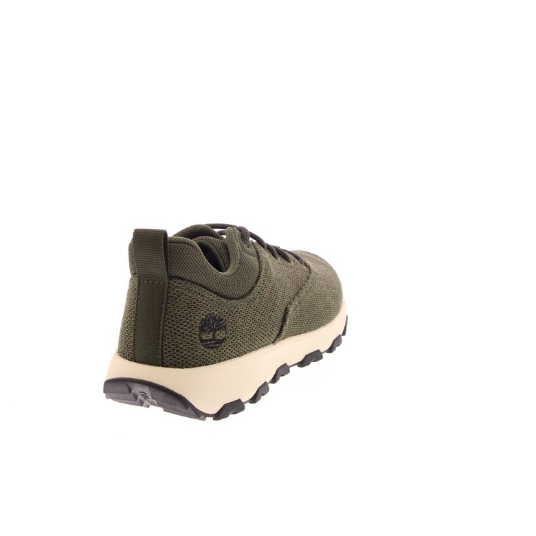 Timberland lage schoenen groen 4