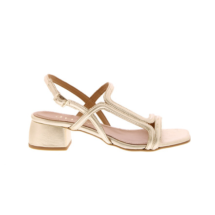 J.hay sandalen goud