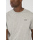 Antwrp t-shirt grau 3