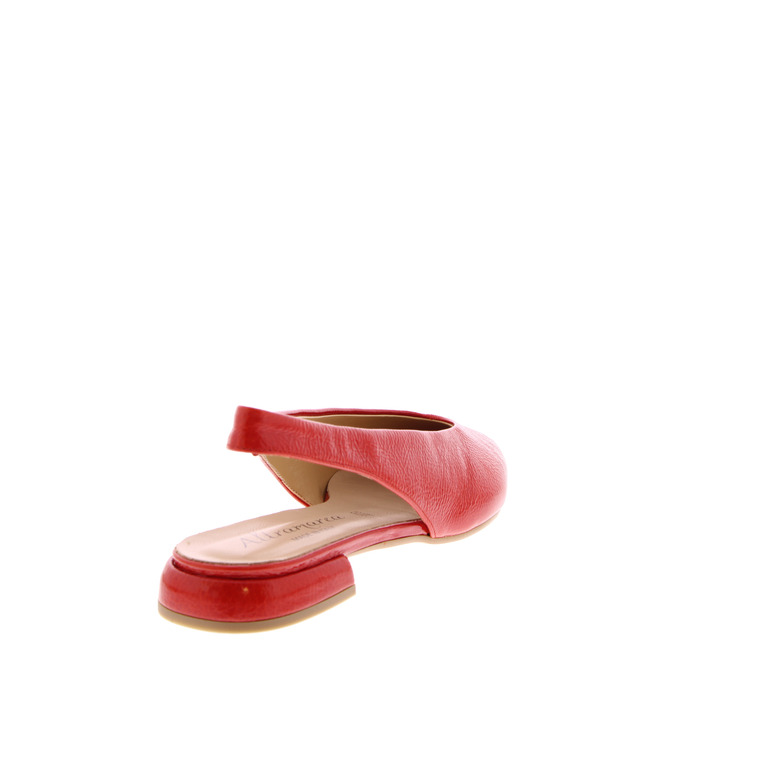 Emmeblu Altramarea pumps rood 4