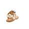 Zecchino D'oro sandalen goud 4