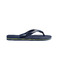 Havaianas thong slippers blue