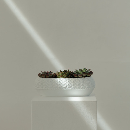 Rader pottery white