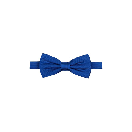 Profuomo cravatte bleu