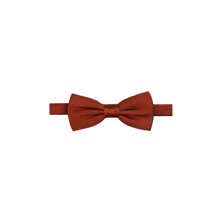 Profuomo cravatte brun