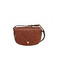 Longchamp crossbody bruin 1