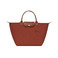 Longchamp handbag brown 1