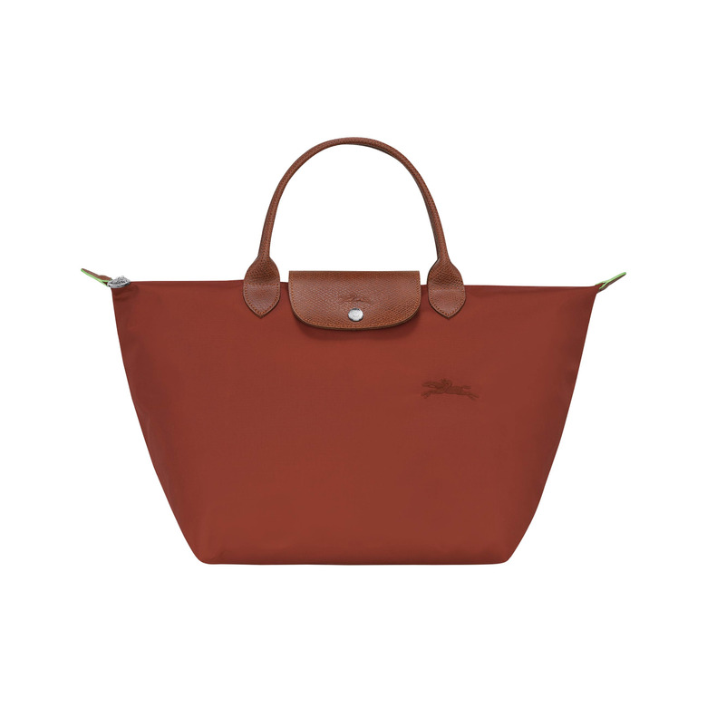 Longchamp handbag brown