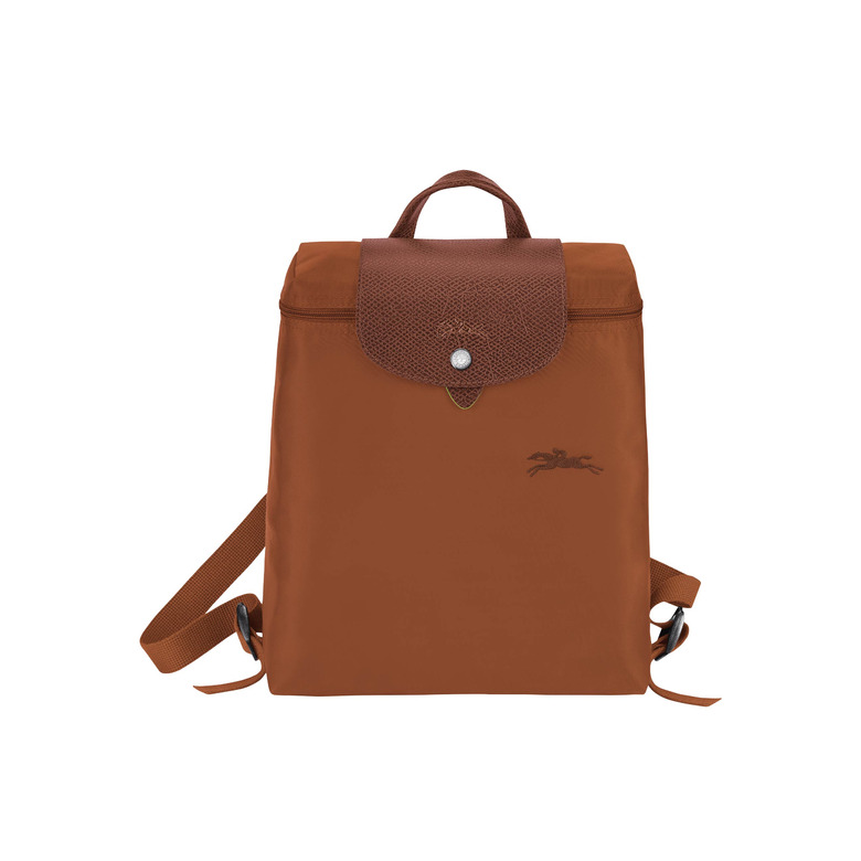 Longchamp backpack brown