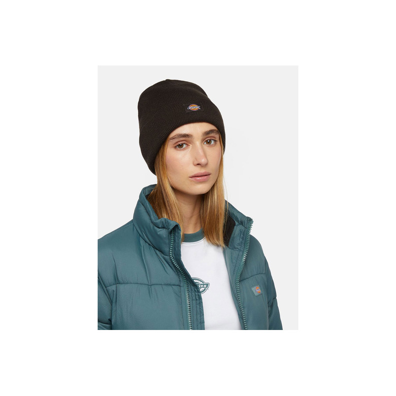 Dickies bonnet brun 3