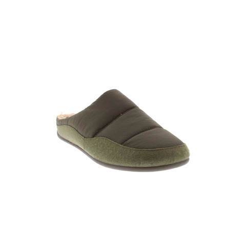 Verbenas pantoufles vert