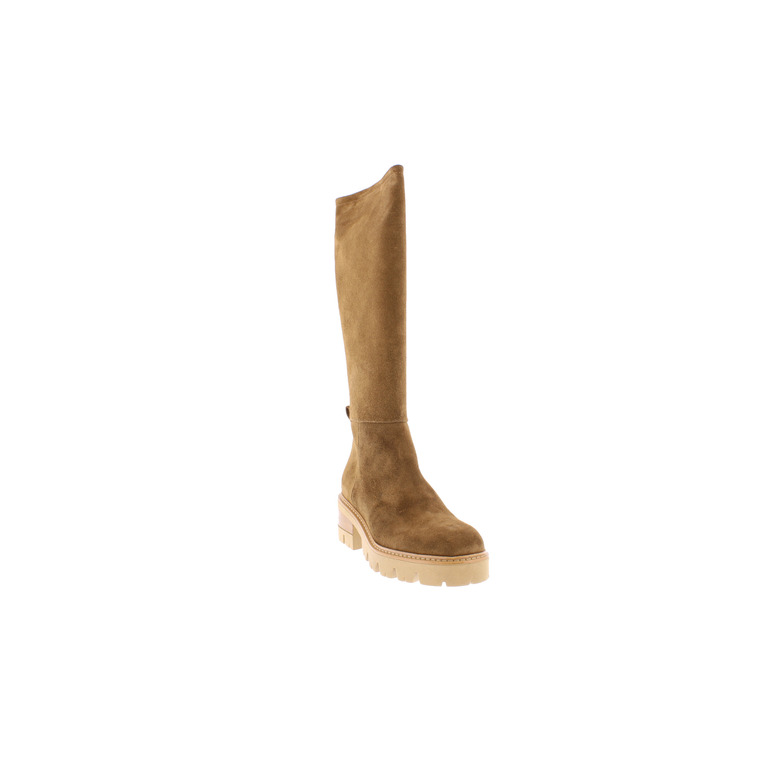 Debutto Donna boots camel 2