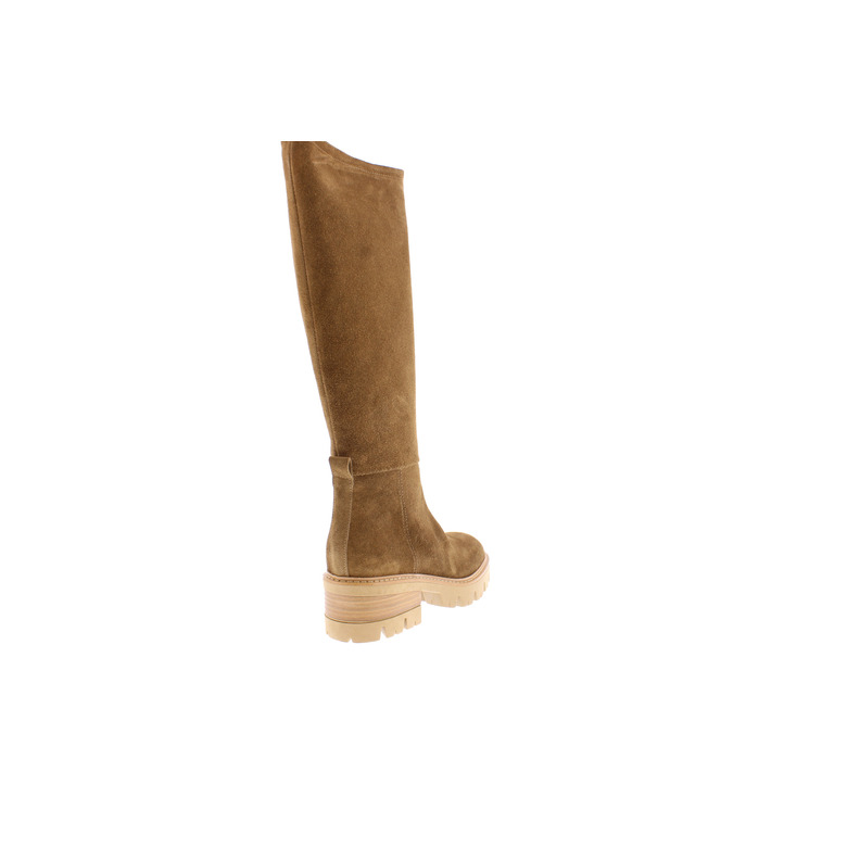 Debutto Donna boots camel 4