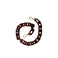 Kaai belt brown 1