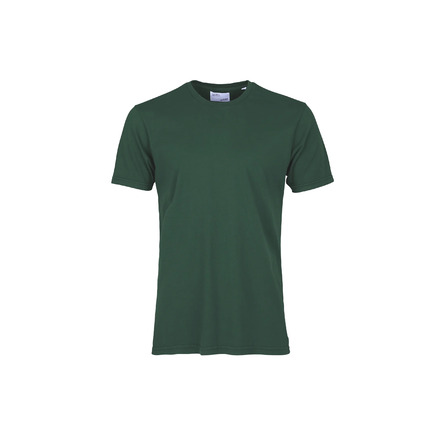Colorful Standard t-shirts green