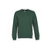 Colorful Standard sweater green 1
