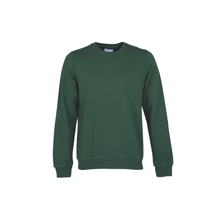 Colorful Standard sweater green 1