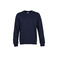 Colorful Standard sweater blue