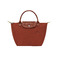 Longchamp handbag brown 1