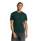 Lyle & Scott t-shirt grÜn 2