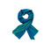 Les Cordes echarpe bleu 1