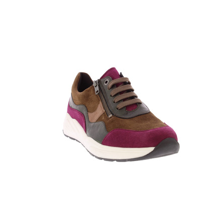 Solidus sneakers multicolor