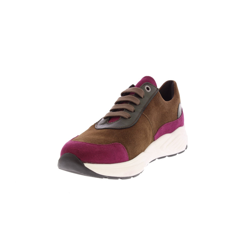 Solidus sneakers multicolor 3
