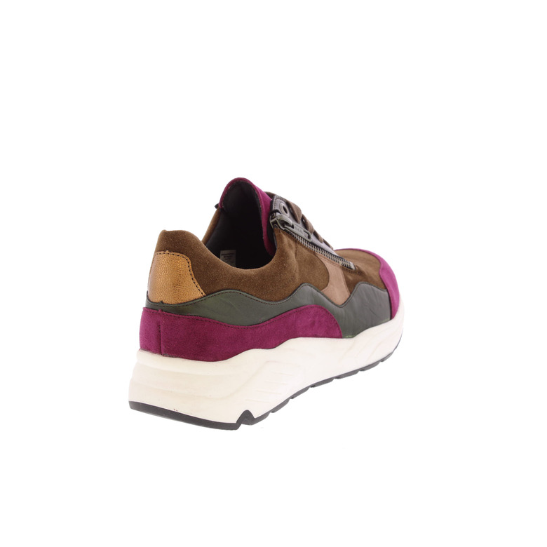 Solidus sneakers multicolor 4