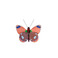 Roof Studio divers multicolor 1